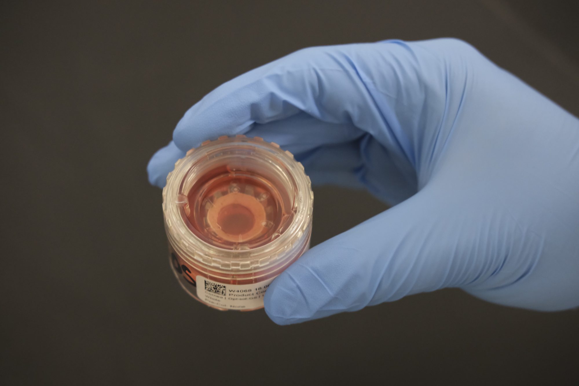 Request Tissue Eye Bank, Inc. Eye Donation